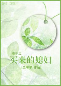 ϵͳ֮漣