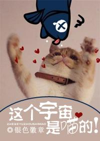 ƪϼ½