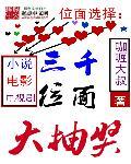 盗情txt下载